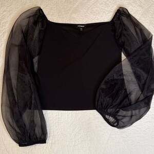 Express Black Sheer Organza Puff Sleeve Top